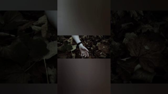 Почему женщины любят истории про маньков?