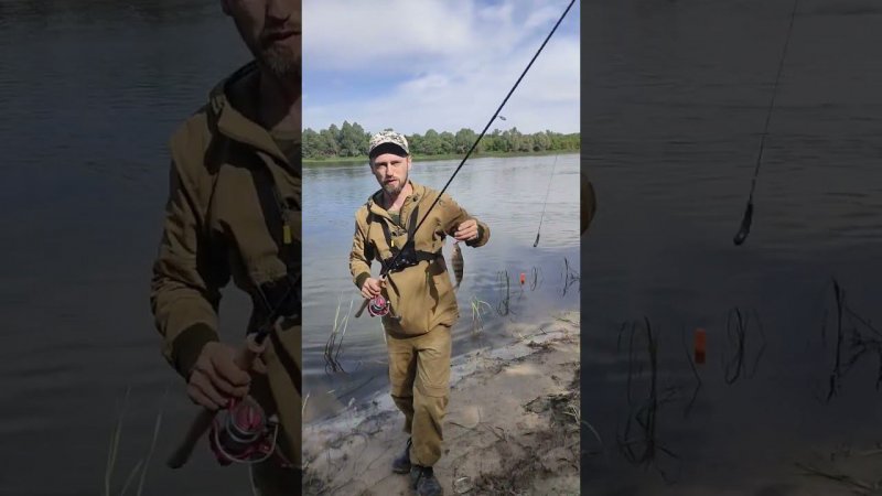 окунь на отводной поводок. #рыбалка #fishing