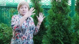 Туя осенью ? Подготовка к зиме ? Укрытие и влагозарядовый полив