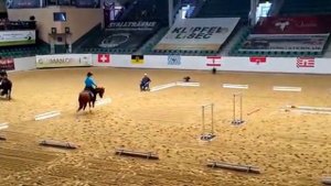EWU German Open 2016, Barney Can Do & Etienne Hirschfeld im Jungpferde-Trail 4 Jährig. Platz 18