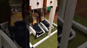 Занятие на имитроне имитаторе ходьбы