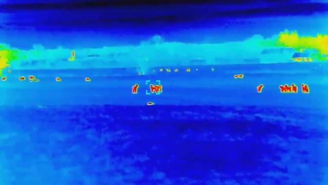 Infiray Finder FH35R смотреть онлайн