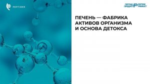 Шестая лекция вебинара онлайн курса «Президентская школа антивозрастной медицины Peptides»