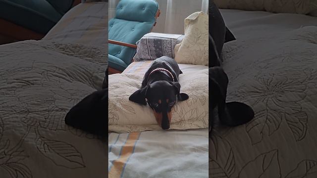 За вусняшку? Можно! смотреть онлайн