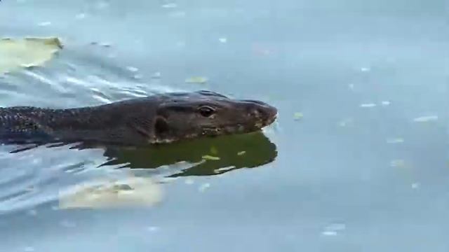 KIDS ВЛОГ Идем в Красивый парк с детской площадкой поднимаемся на самый высокий этаж детское видео смотреть онлайн