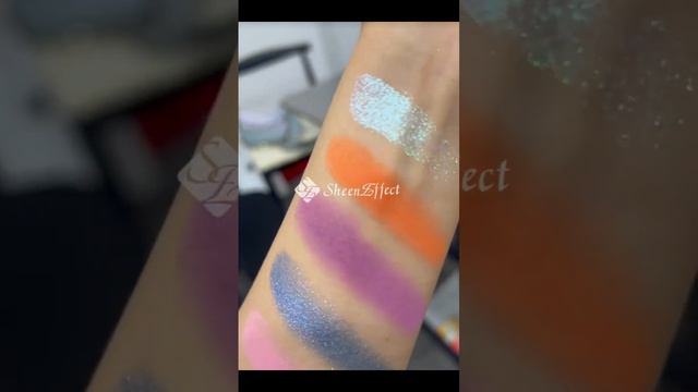 SheenEffect 12-Color Chameleon Eyeshadow Palette, COLOR TEST🙀