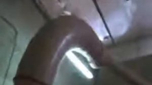 Сушка пивной дробины влажностью 87%