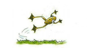 Spotlight 2 p.62 ex.1 CD&DVD