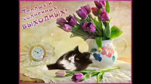 Приятных выходных🌟Пожелание хороших выходных🌟Красивая музыкальная открытка🌟Суббота Воскресенье 🌟