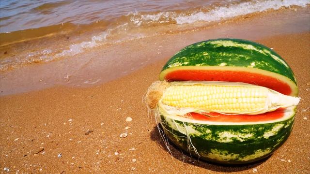 Отдых в поселке Кучугуры, Краснодарский край. Фото пляж Азовского моря, информация о Кучугурах 2021 смотреть онлайн