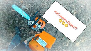 Валка леса ?? // Один день из жизни беларуского вальщика ? // Stihl ms361