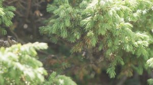 Поход на гору Синюха