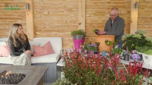 Meet Me in the Garden Episode 2 -Patio Colour for the Summer