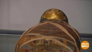 "Мумии Древнего Египта" в ГМИИ им. Пушкина. Доброе утро. Фрагмент выпуска от 01.03.2022