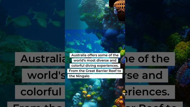 SCUBA DIVING AUSTRALIA