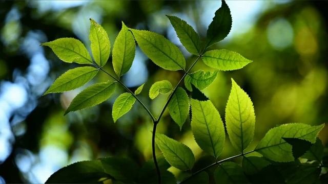 Это НУЖНО знать! ИЮЛЬ. Народные приметы и праздники ИЮЛЯ.