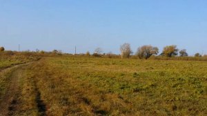 деревня Борки, Тюменская Область