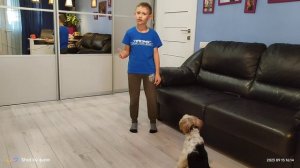 как научить собаку команде сидеть.mp4