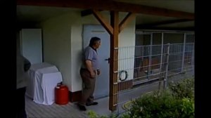 Питомник немецких овчарок von Noriswand, Германия