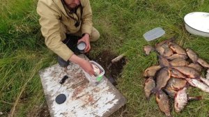 РАЗДЕЛКА РЫБЫ И ПРИГОТОВЛЕНИЕ НА ХРАНЕНИЕ. СВЕЖЕПРОСОЛКА ИЗ БЕЛОЙ РЫБЫ. ЗОЛОТОЙ КАРАСЬ. РЫБАЛКА.