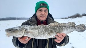 В поисках Трофейного налима / Рыбалка на налима / Проверяем снасти на налима / Рыбацкое счастье
