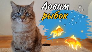 Играем с котом | Ловим рыбок