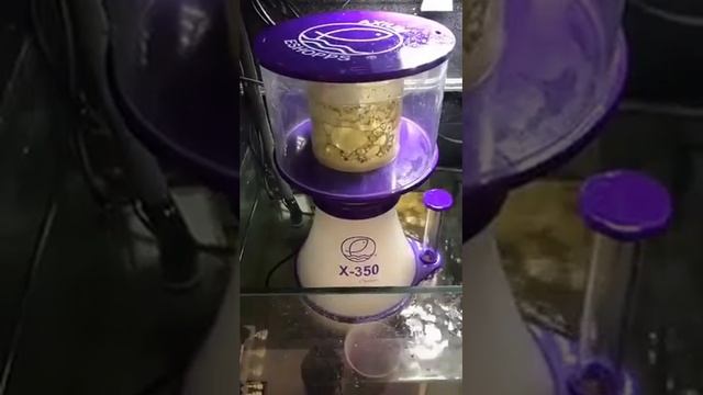Whats Wet? - Eshopps AXIUM X-350 Skimmer