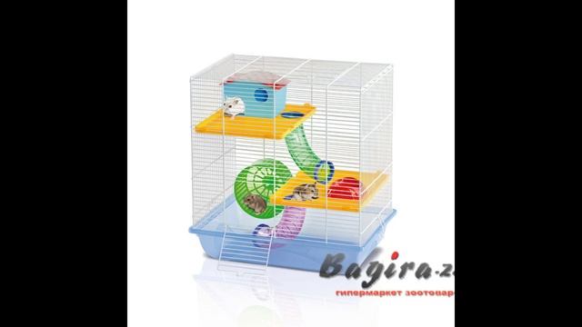 Какую клетку выбрать? смотреть онлайн