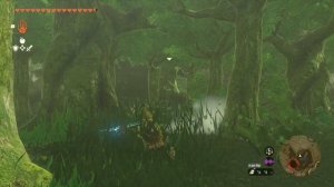 Serenade to Cotera Walkthrough | Side Adventure | The Legend of Zelda: Tears of the Kingdom