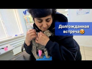 ЗВОНИЛИ С КЛИНИКИ, ЗАБИРАЕМ КОТЕНКА! Еще заболела Пуськина