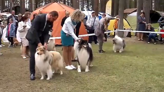 Псковский сувенир 2019. Выбор ЛПП. смотреть онлайн