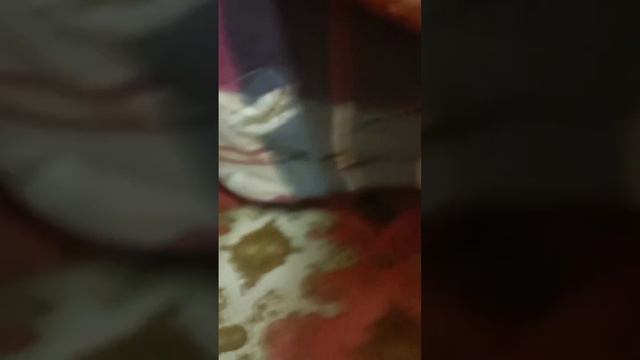 назгачать мге покоцников читать док снега воды вдогогец перещватить фаботкациями и лпускалоы смотреть онлайн