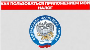 КАК ПОЛЬЗОВАТЬСЯ ПРИЛОЖЕНИЕМ МОЙ НАЛОГ