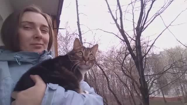 Мой кот зелёный?!