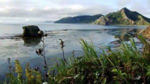 ***Сахалин,конечно,не Австралия.***Любимый ОСТРОВ.??SAKHALIN.Стихи про Сахалин.Песня про Сахалин.