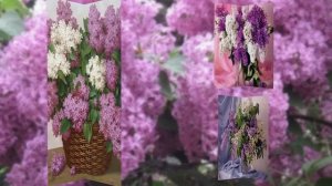 Сиреневого настроения вам, друзья мои!