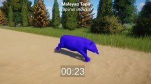 Colored Endangered Animals Races in Planet Zoo included Leopard, Elephant, Giraffe, Tapir & etc