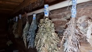 Подсмотрено в банном комплексе Бобровая Долина: отделка парной и оформление предбанника