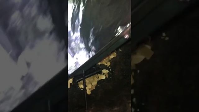 Курица горячего копчения своими руками в домашних условиях смотреть онлайн