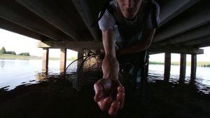 Ловля Раков Руками.Где водятся раки и как их ловить