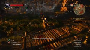 Ведьмак 3 концовка. Убийство третьей ведьмы Пряхи