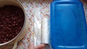ЗАМОРОЗКА ФАСОЛИ