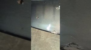 30842 Бампер задний Opel Insignia Универсал 2013-