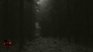 Цена исполнения желаний, Страшные истории.mp4