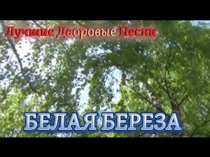 Алексей Кракин - Белая береза / Дворовые песни