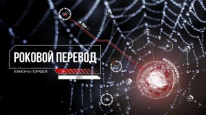 Закон и порядок: Роковой перевод