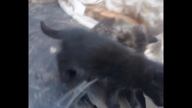 Какая прелесть смотреть онлайн