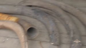 В Якутии раскрыты кражи бивней мамонта стоимостью 11 млн рублей