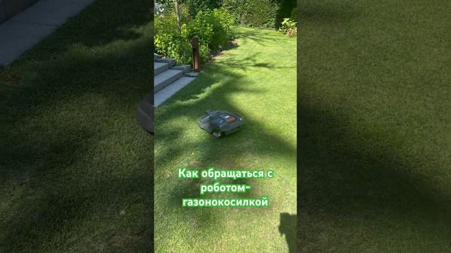 Как управлять роботом-газонокосилкой #робот #газонокосилка #дача смотреть онлайн