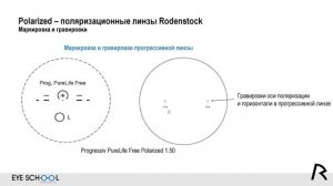 Polarized – поляризационные линзы Rodenstock